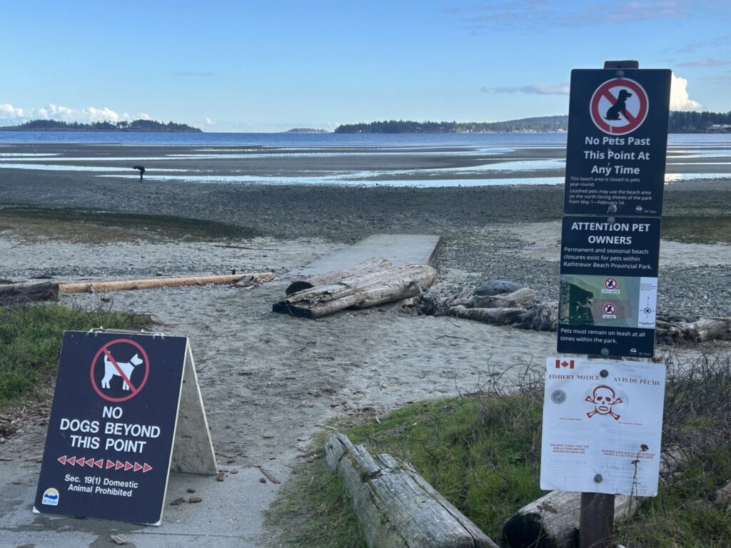 Parksville beaches will be closed for dogs during geese migration