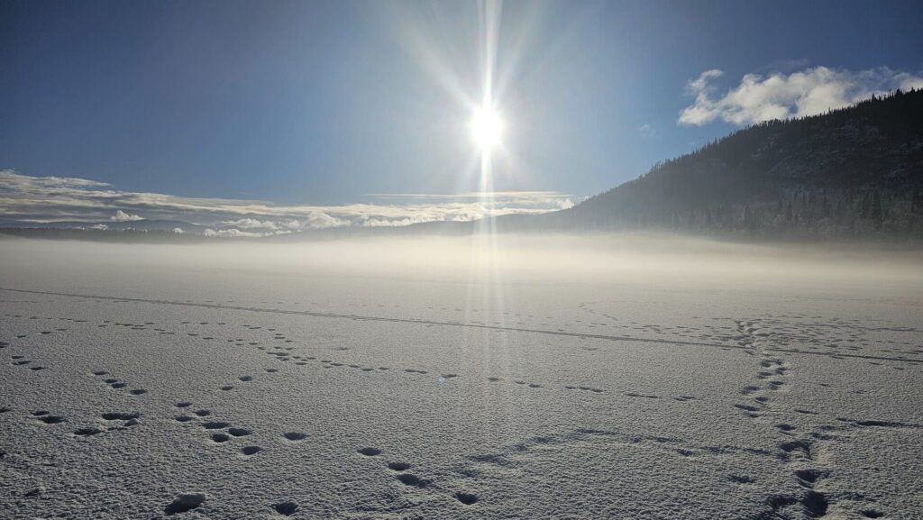 Environment Canada expecting strong winds in the Lakes District