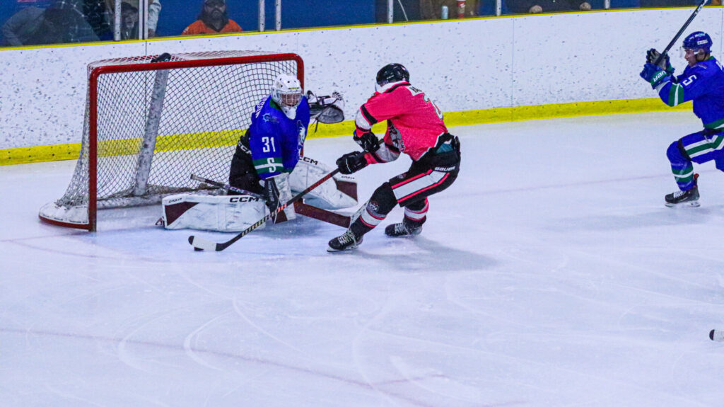 Steelheads, Wolverines handed losses to end the CIHL regular season