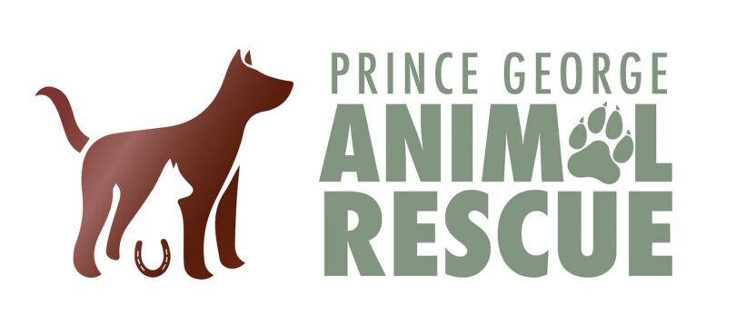 PG Animal Rescue decides to close its doors after two decades in business