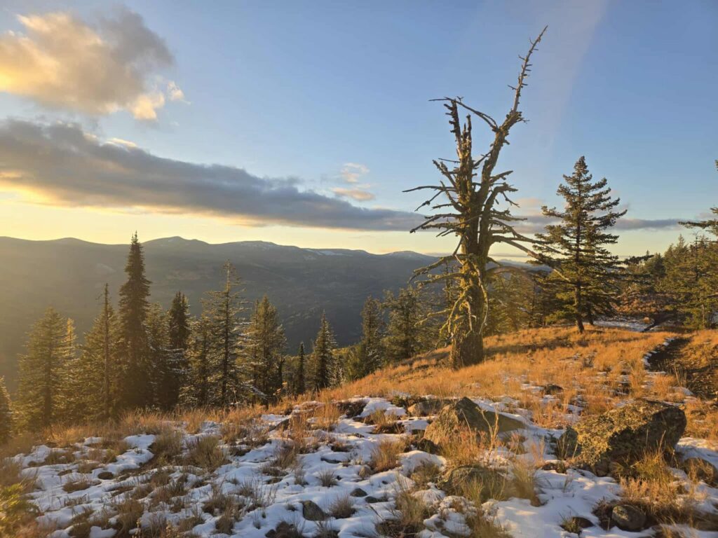 Majority of Rosslanders against proposed mine, mayor says