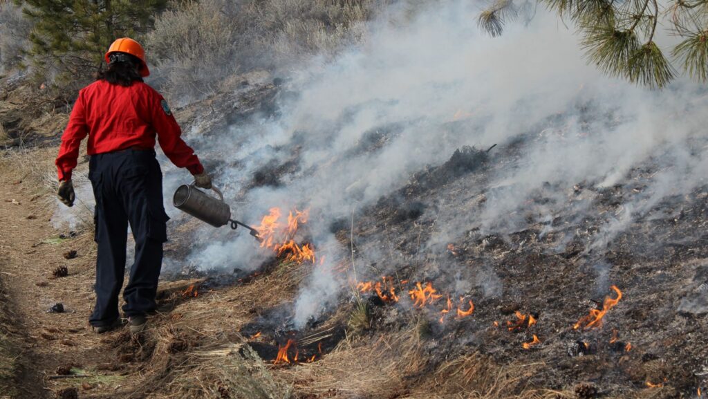 Cranbrook awarded grant for future prescribed burns