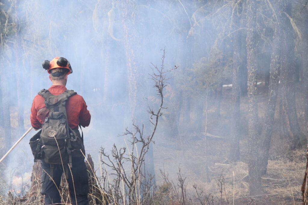 Prescribed burns scheduled for various locations in the Cariboo