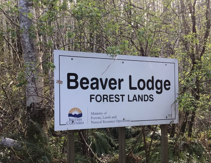 Temporary trail closures at Beaver Lodge scheduled to start March 10