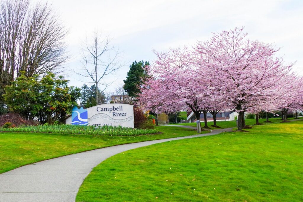 City Hall equipped with picnic tables to allow cherry blossom viewing