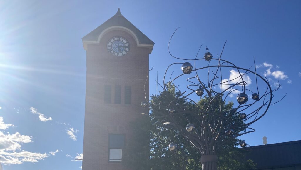 Cranbrook pushing for regional decision on provincial time change