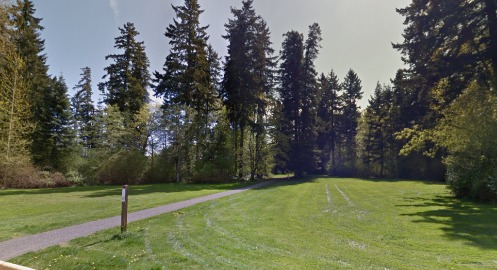 Courtenay seeking feedback to shape the future of Bill Moore and Dogwood Parks