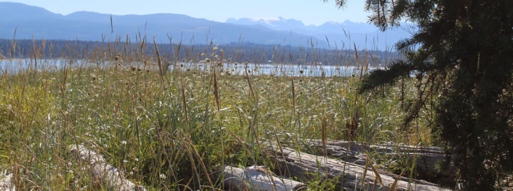 Construction beginning on new Mack Laing viewing platform