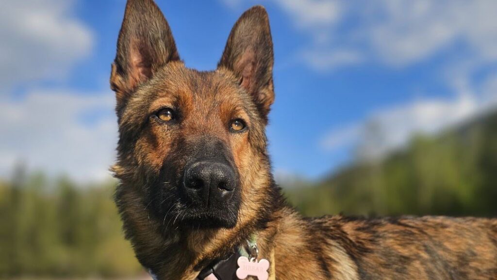 Hope Beyond Borders: a long road to a second chance 