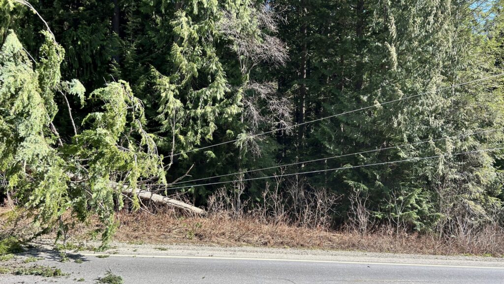 Power outages for over 1,100 East Kootenay BC Hydro customers