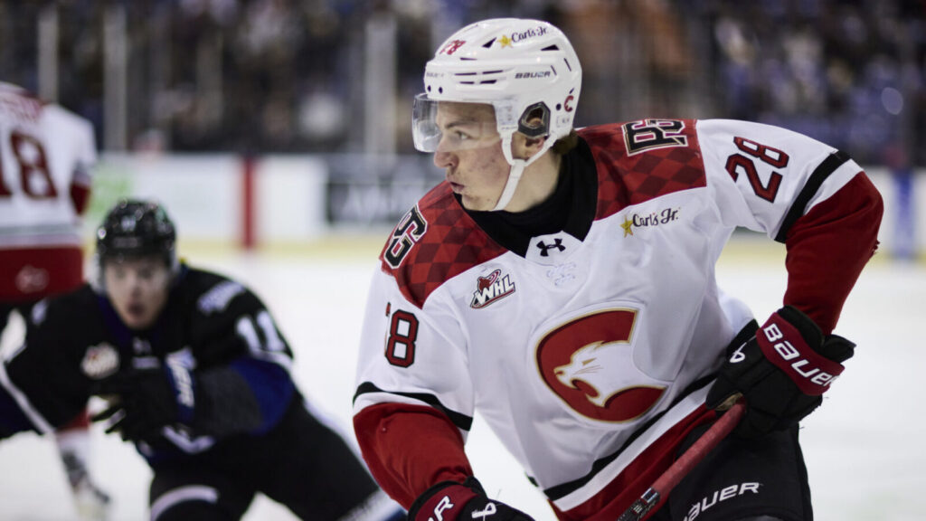 Cougars flush Royals’ playoff hopes in regular season finale