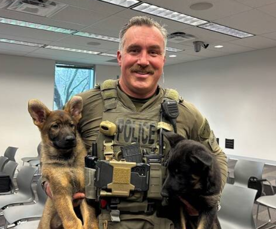 Got a “B” name for a future police dog? RCMP puppy-naming contest now open