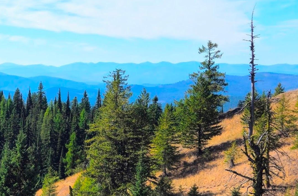 Judgement expected Wednesday in Record Ridge case