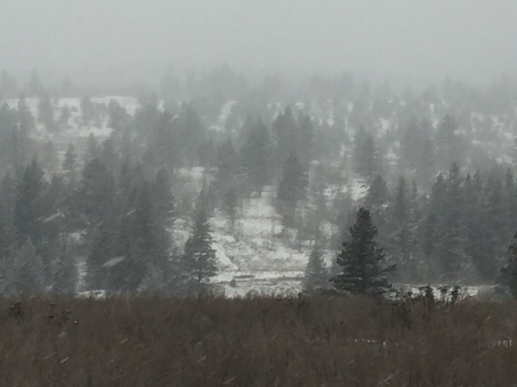 Williams Lake saw a wetter February than Quesnel