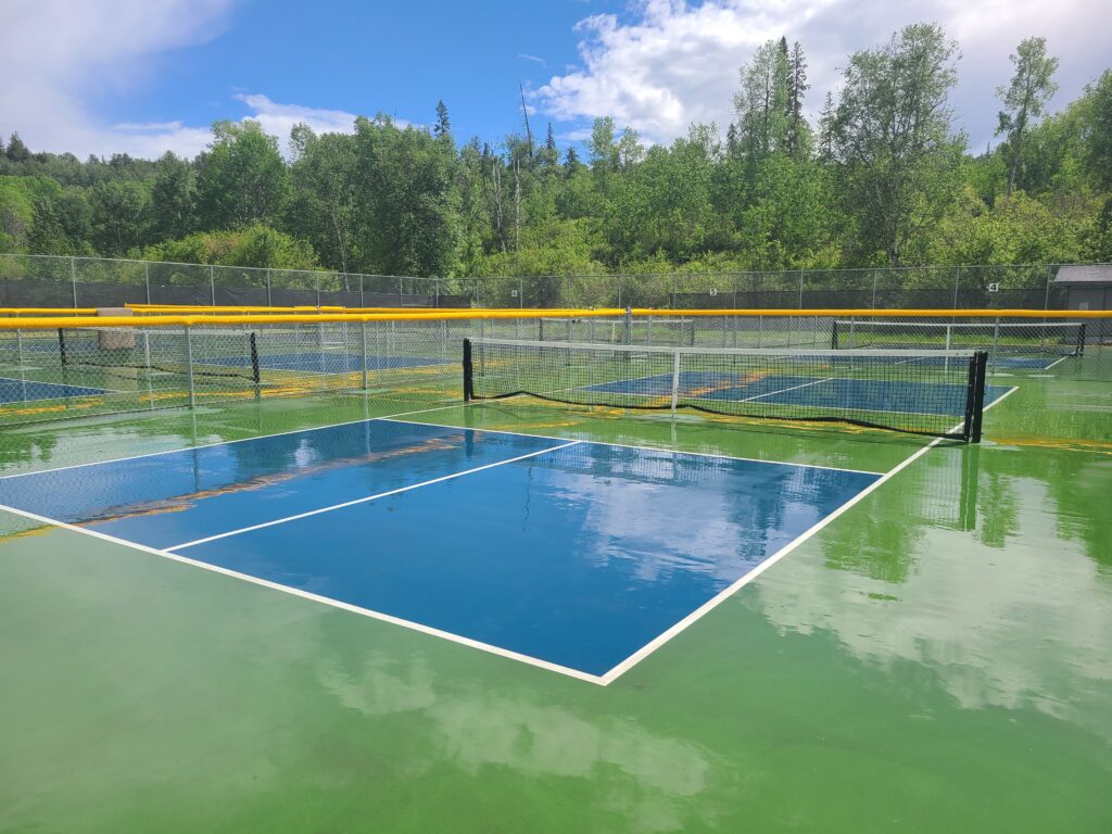 Council batting back and forth on pickleball court and partnerships